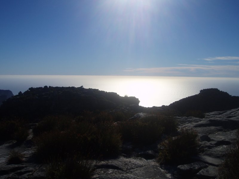 KeHa_in_South_Africa - 245